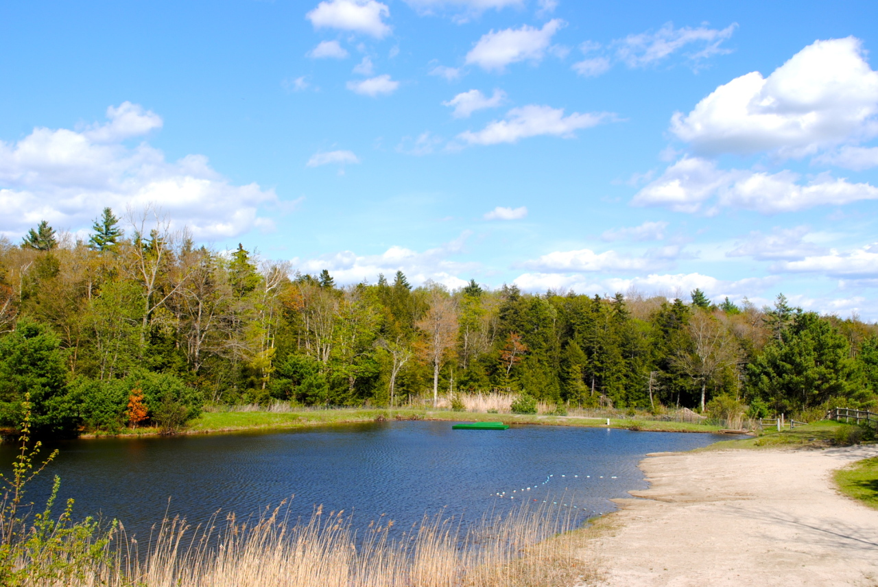 84 Access Road Becket, MA 01223 - Photo 24 of 28 Community Swim pond