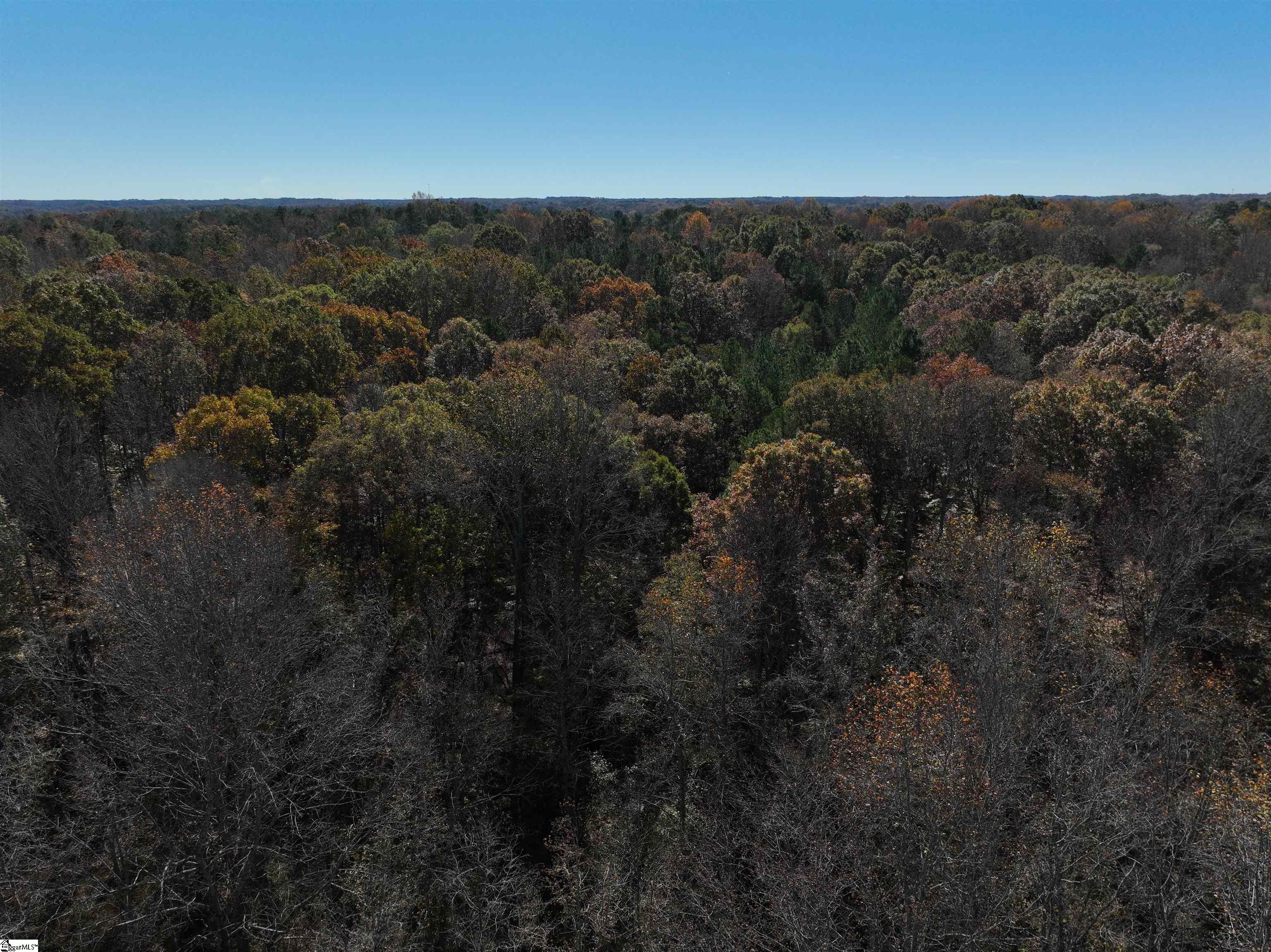 3 Blair Road Laurens, SC 29360 - Photo 3 of 5