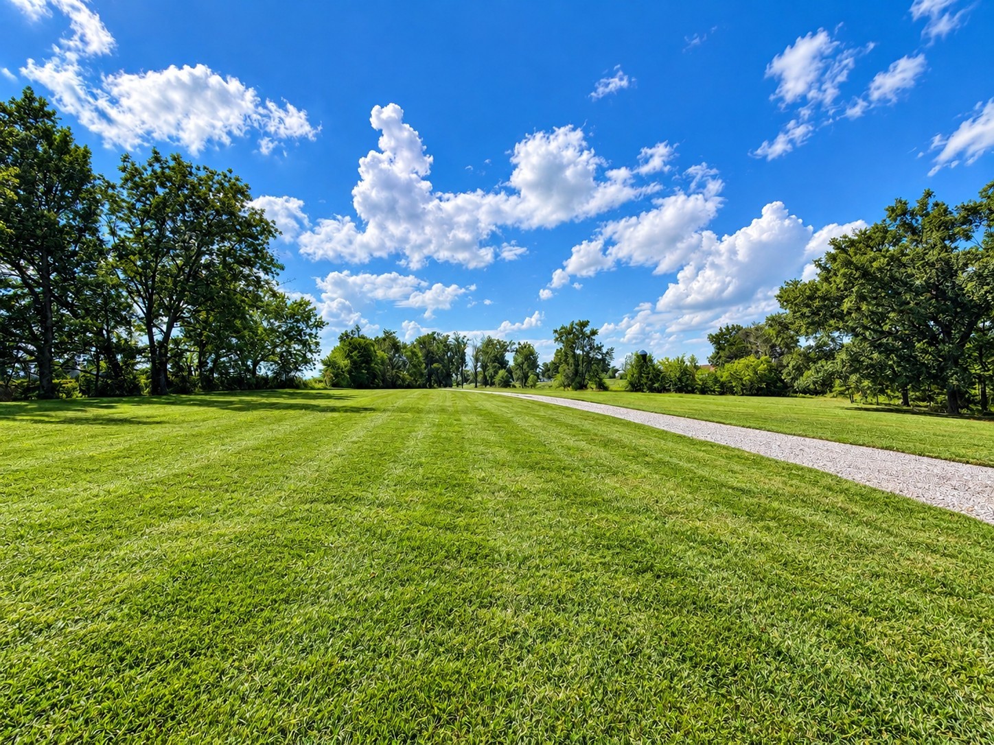 418 Creekmore Road Cottontown, TN 37048 - Photo 3 of 34 Gallery Image 3