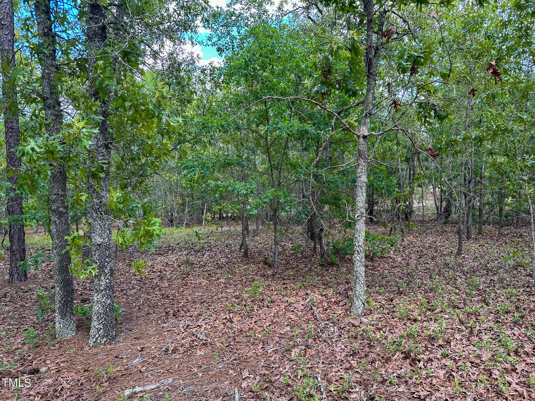 0 Juniper Lake Road West End, NC 27376 - Photo 12 of 22 Pic 12