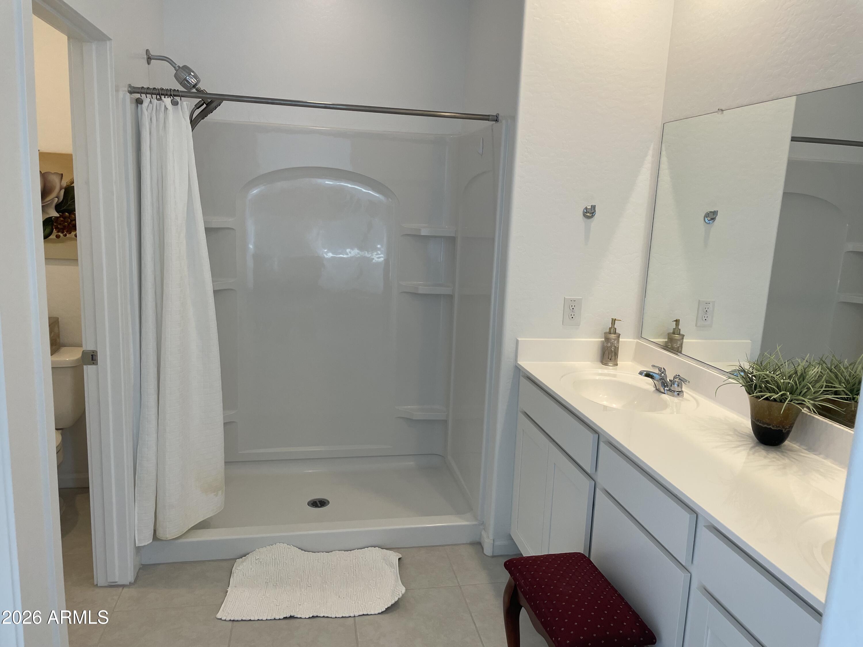 3009 East Riding Boot Way San Tan Valley, AZ 85140 - Photo 13 of 21 a bathroom with a shower a sink and a mirror