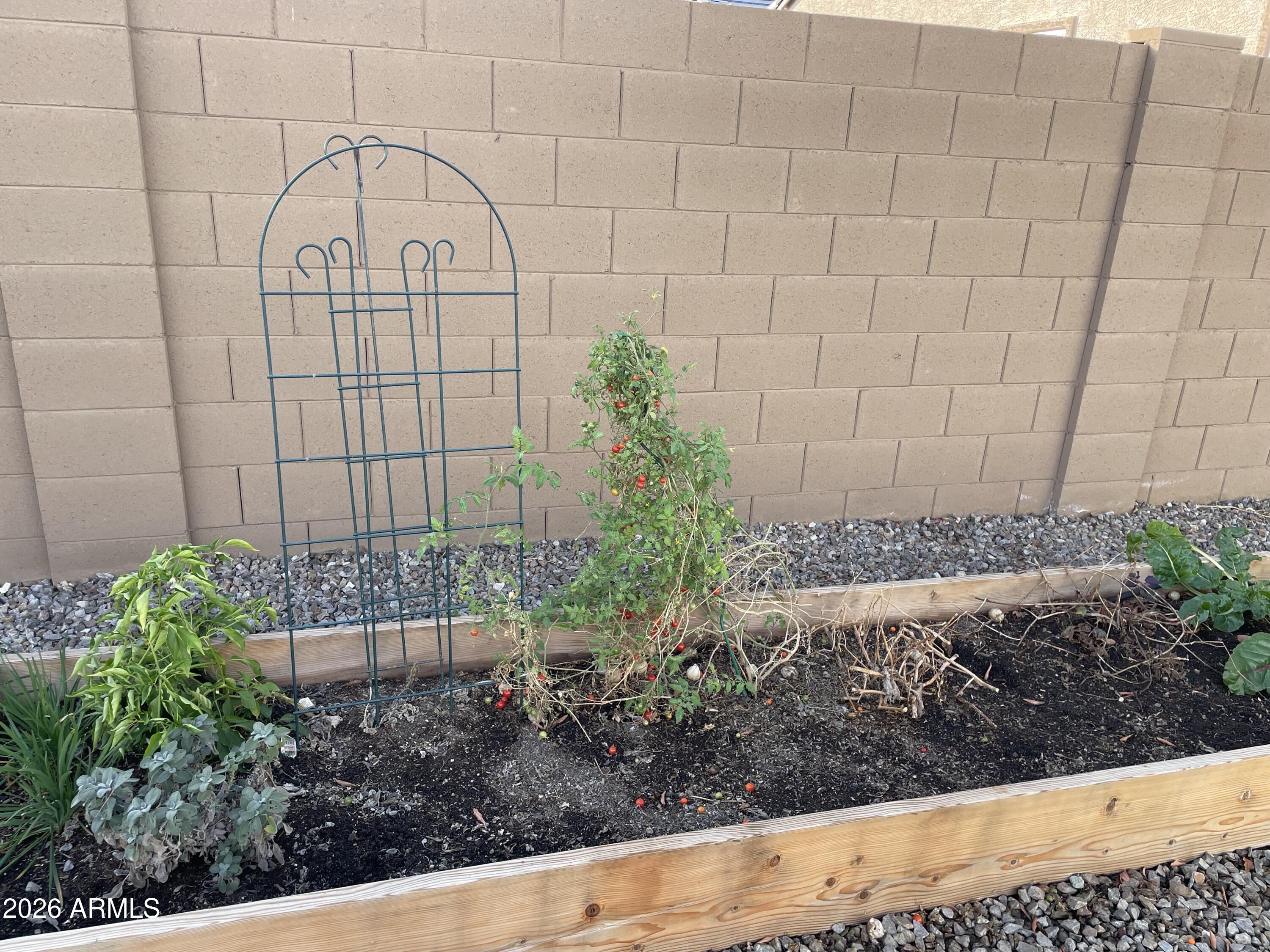 3009 East Riding Boot Way San Tan Valley, AZ 85140 - Photo 19 of 21 a view of a garden