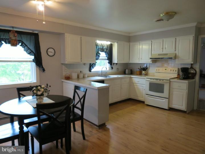 1219 South Rapps Dam Road Phoenixville, PA 19460 - Photo 5 of 22 Kitchen