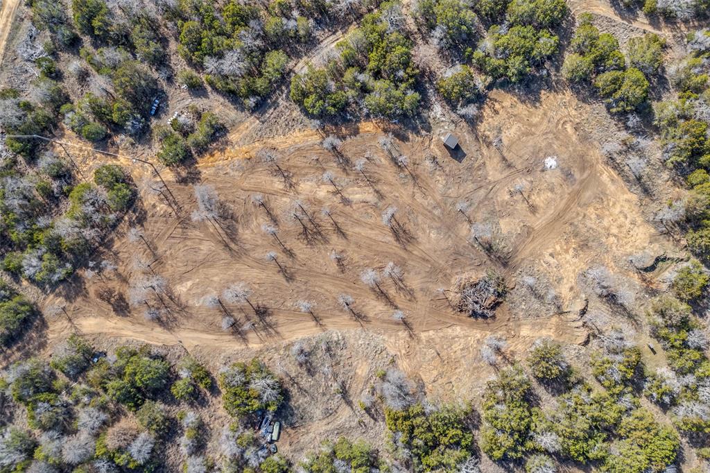 1500 Brown Road Palo Pinto, TX 76484 - Photo 11 of 16 a view of a dry field with trees in the background