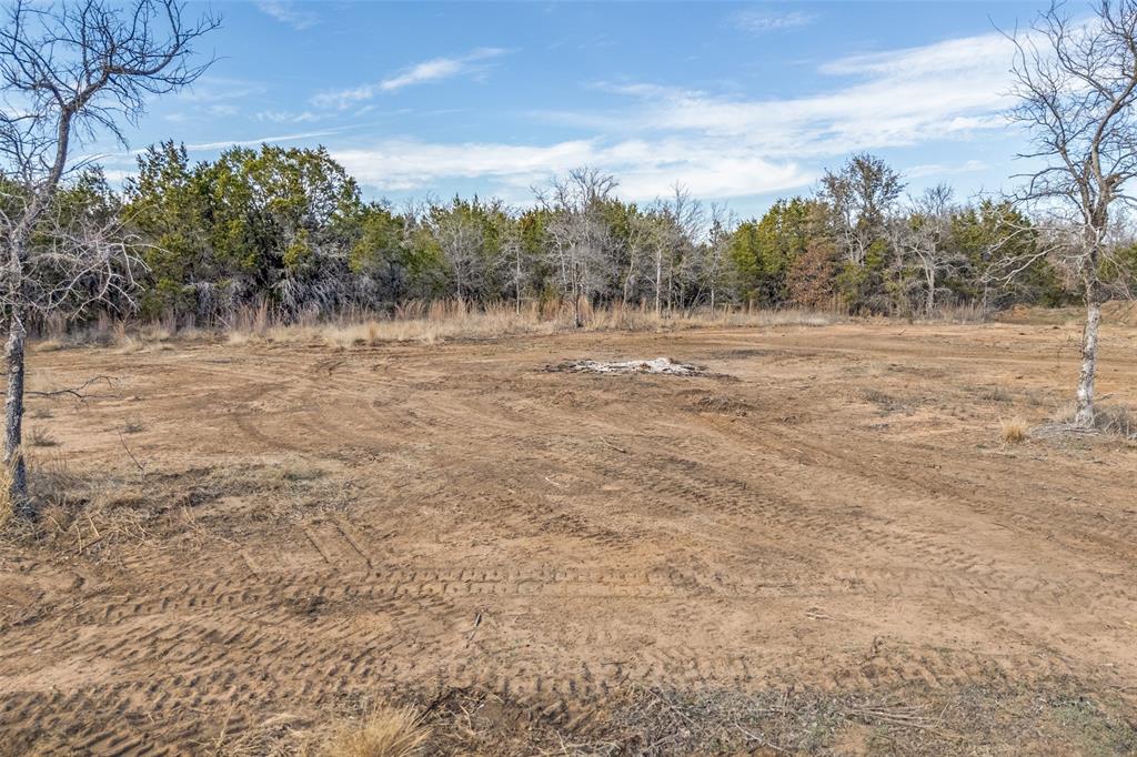 1500 Brown Road Palo Pinto, TX 76484 - Photo 14 of 16 a view of a outdoor space with trees