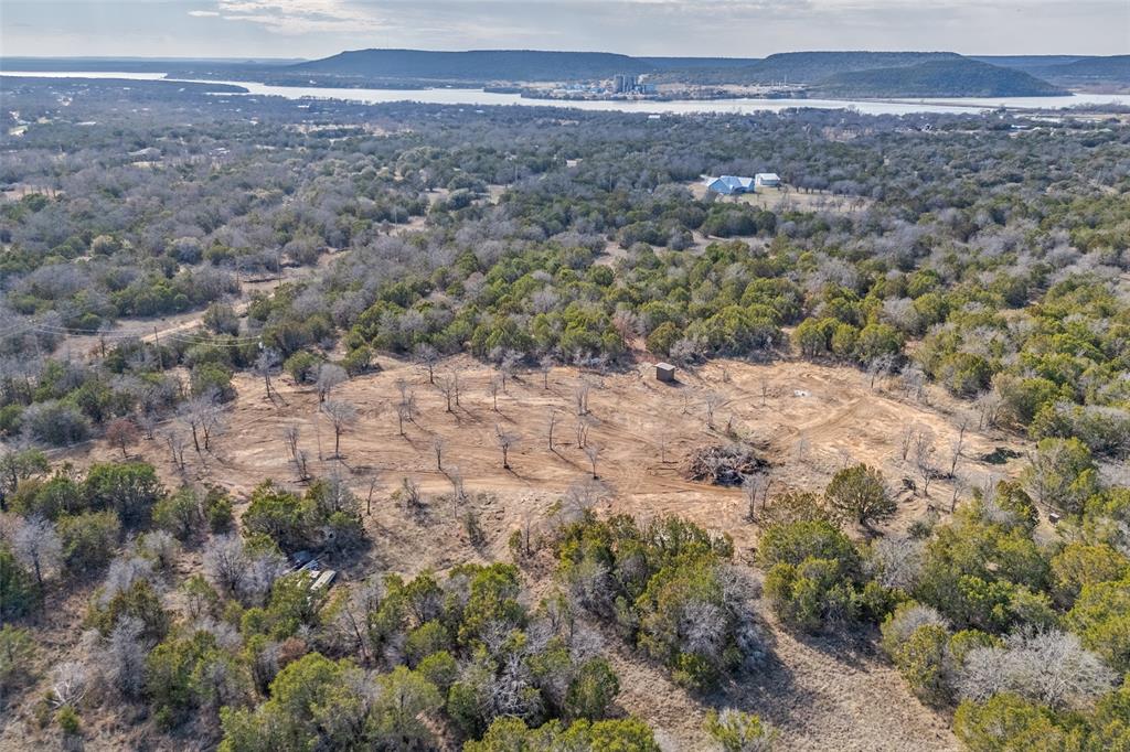 1500 Brown Road Palo Pinto, TX 76484 - Photo 9 of 16 a view of a field with trees in background