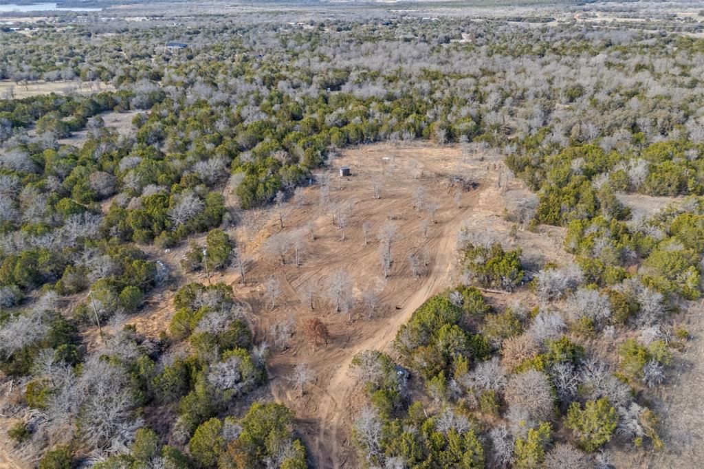 1500 Brown Road Palo Pinto, TX 76484 - Photo 10 of 16