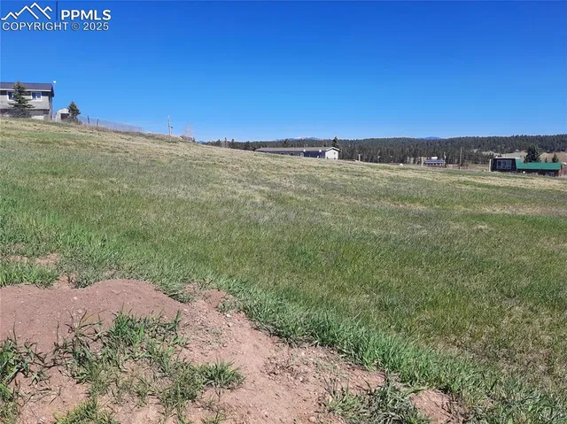 a view of a field with an ocean