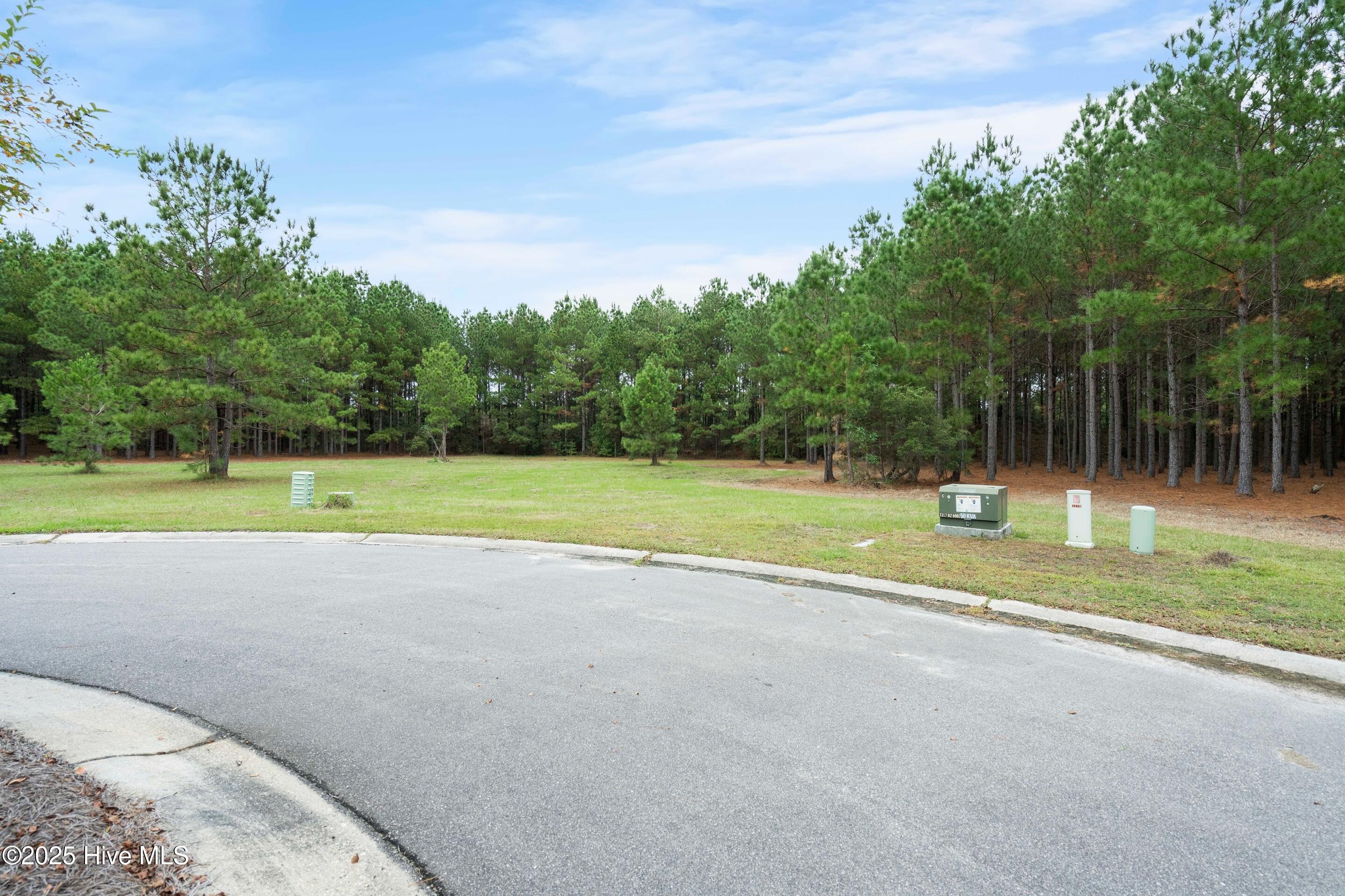 328 Cellars Way Wallace, NC 28466 - Photo 10 of 26 Street View