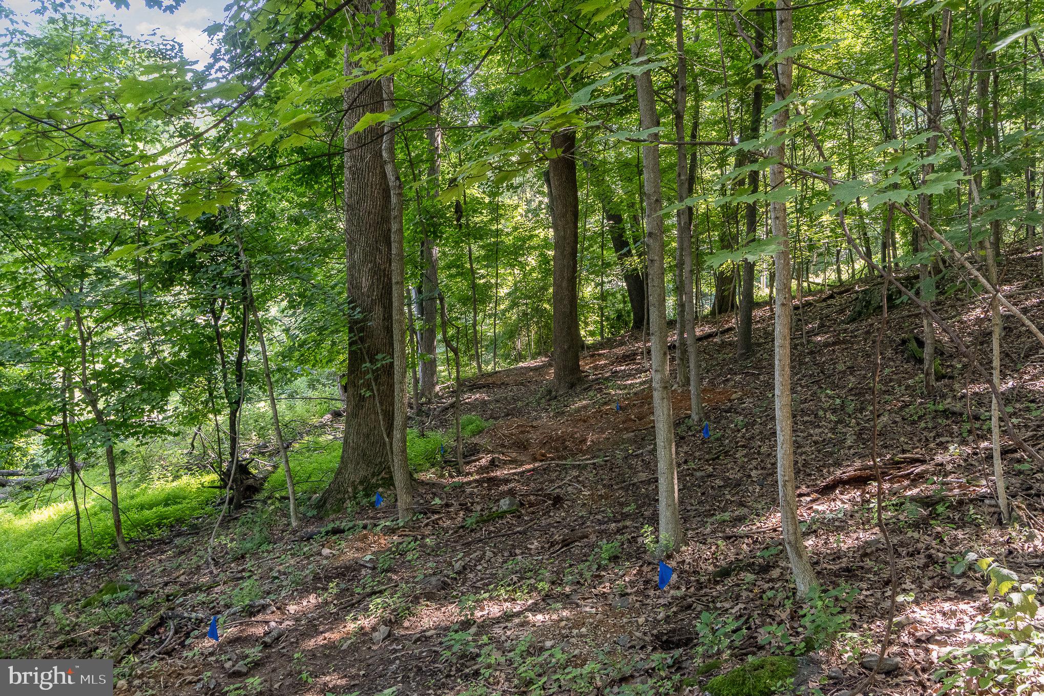 10 Dove Trail Fairfield, PA 17320 - Photo 11 of 33