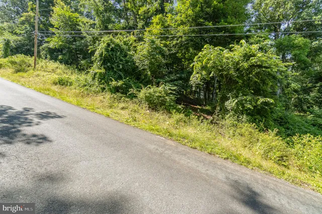 a view of a yard with plants