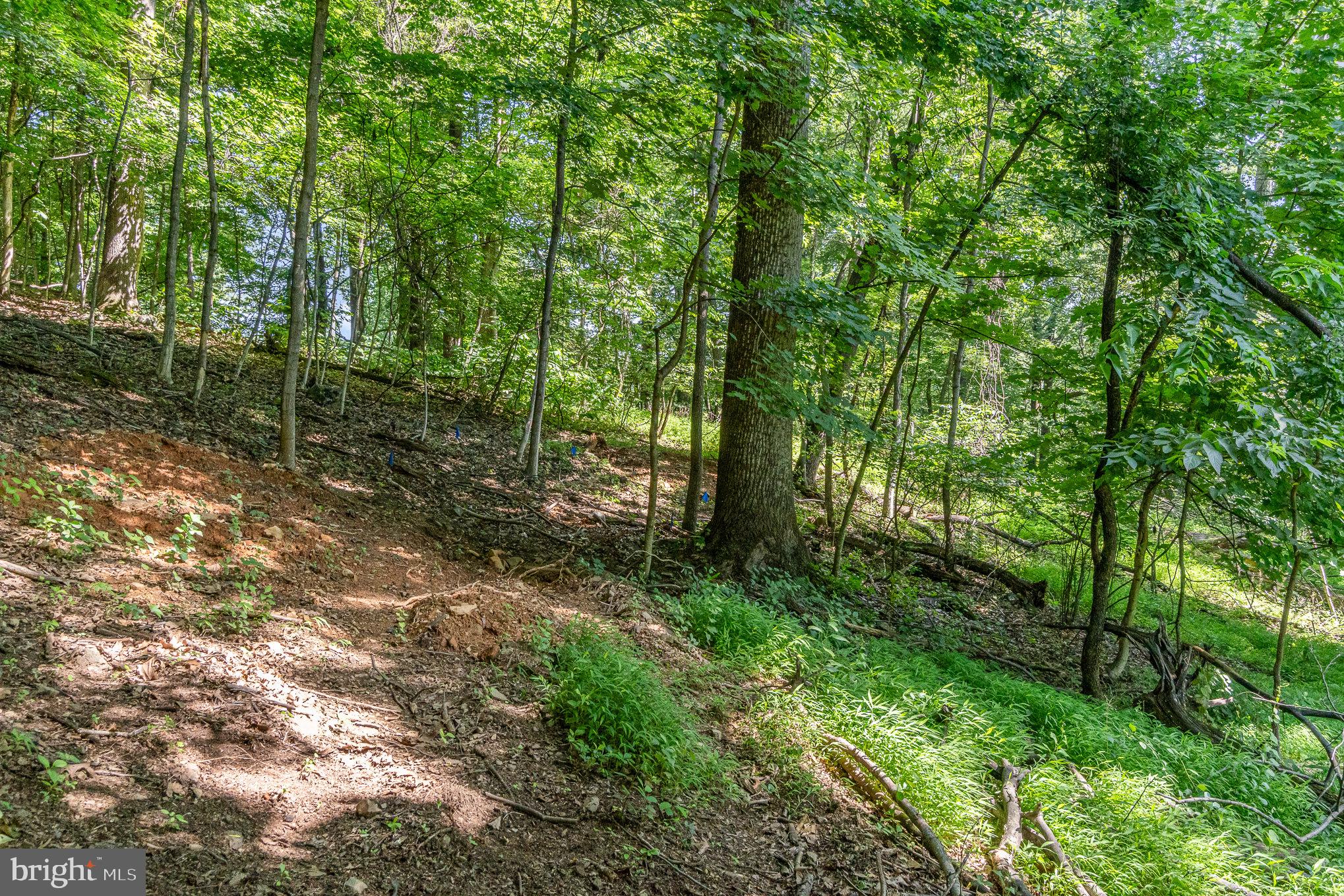 10 Dove Trail Fairfield, PA 17320 - Photo 16 of 33