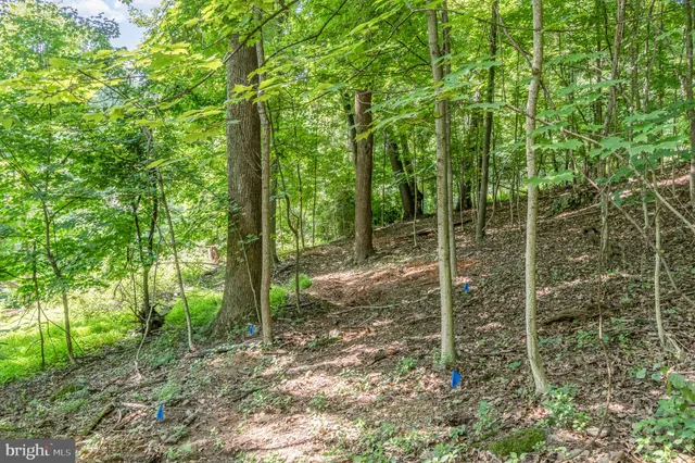 a view of a room with trees