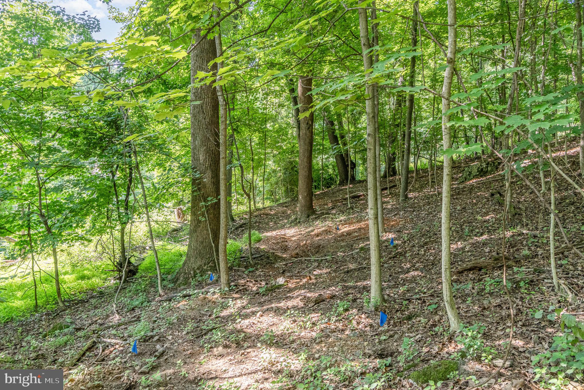 10 Dove Trail Fairfield, PA 17320 - Photo 19 of 33