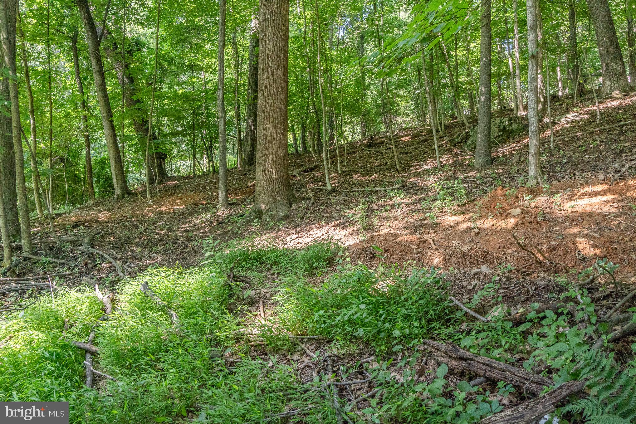 10 Dove Trail Fairfield, PA 17320 - Photo 20 of 33