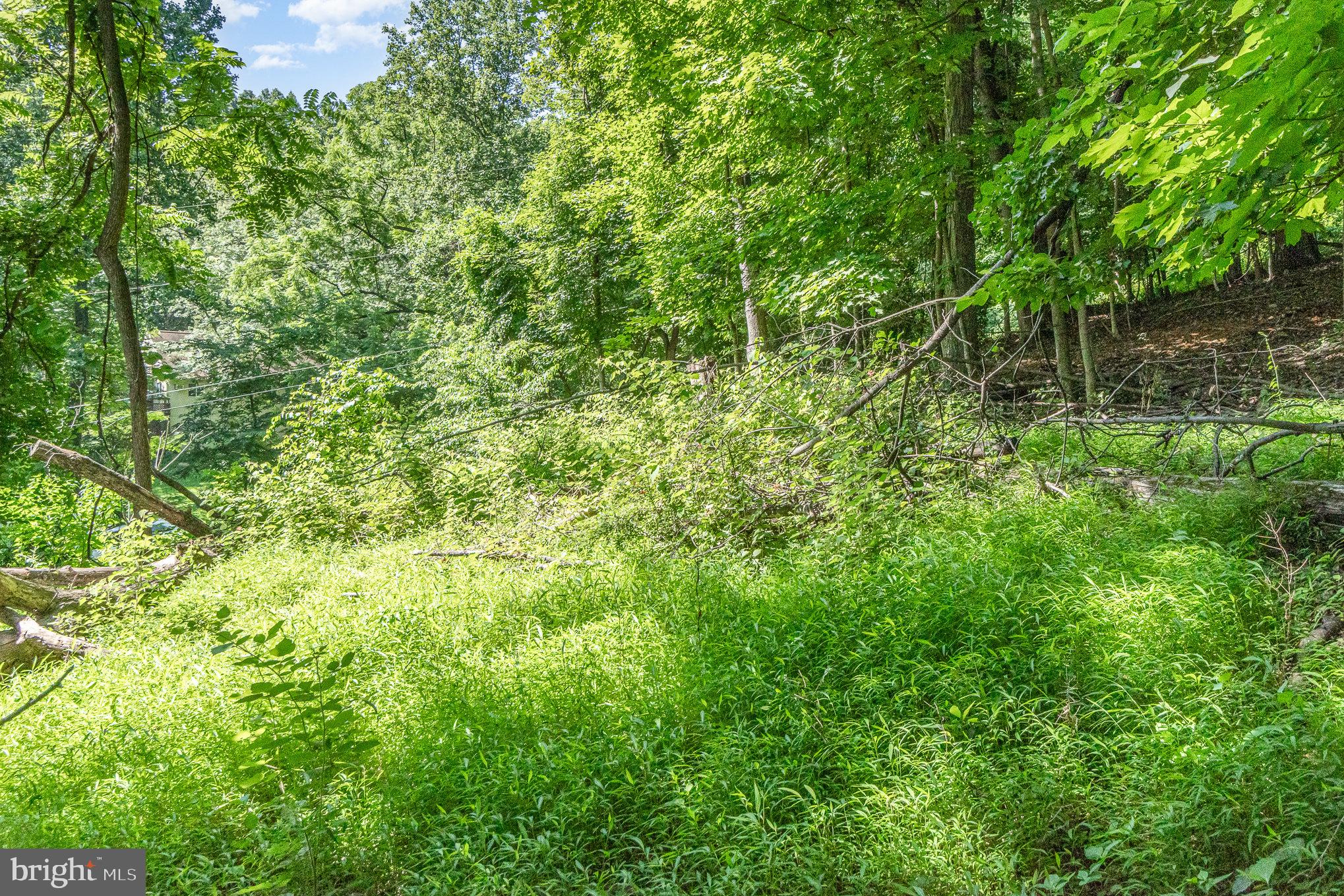 10 Dove Trail Fairfield, PA 17320 - Photo 21 of 33