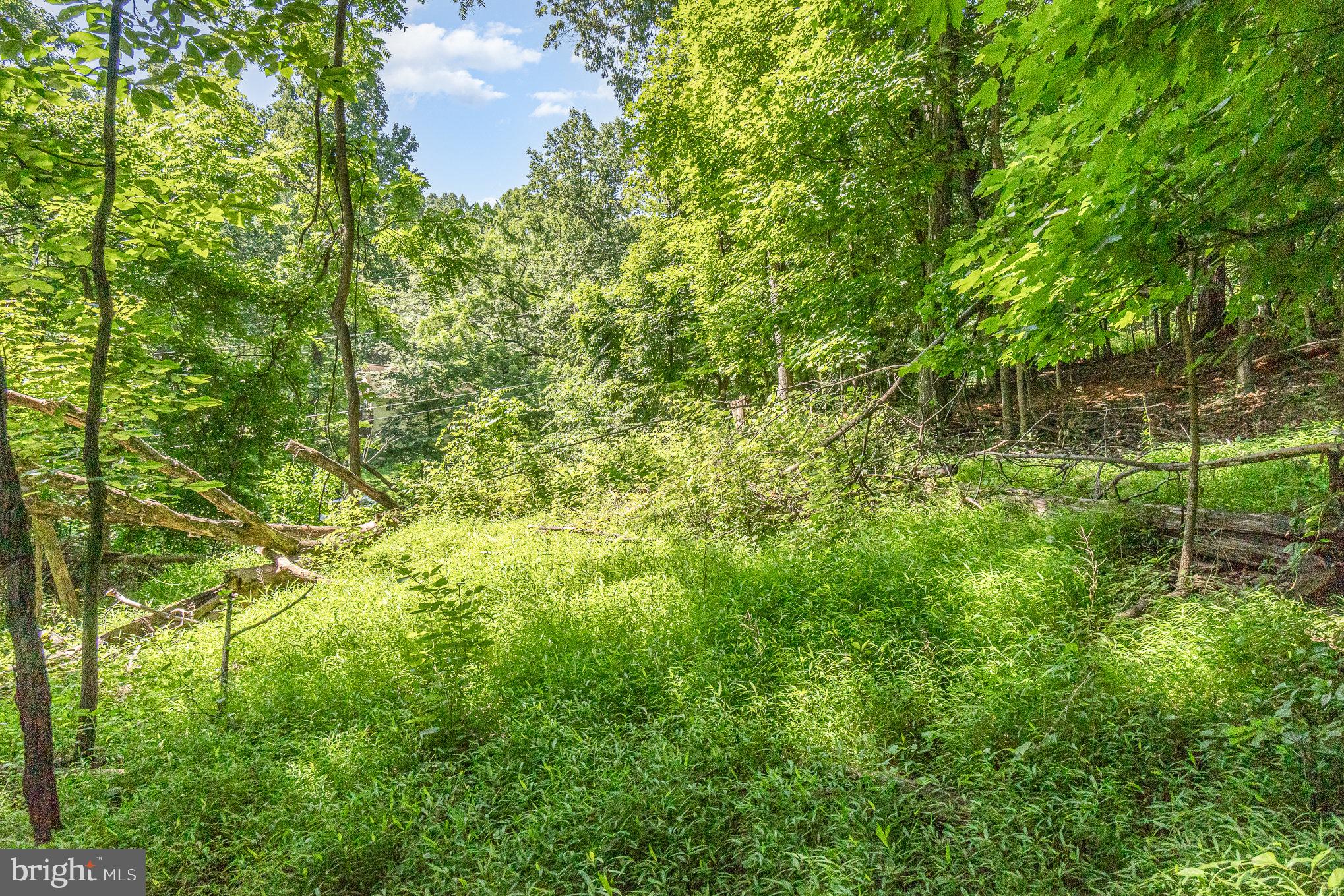 10 Dove Trail Fairfield, PA 17320 - Photo 23 of 33