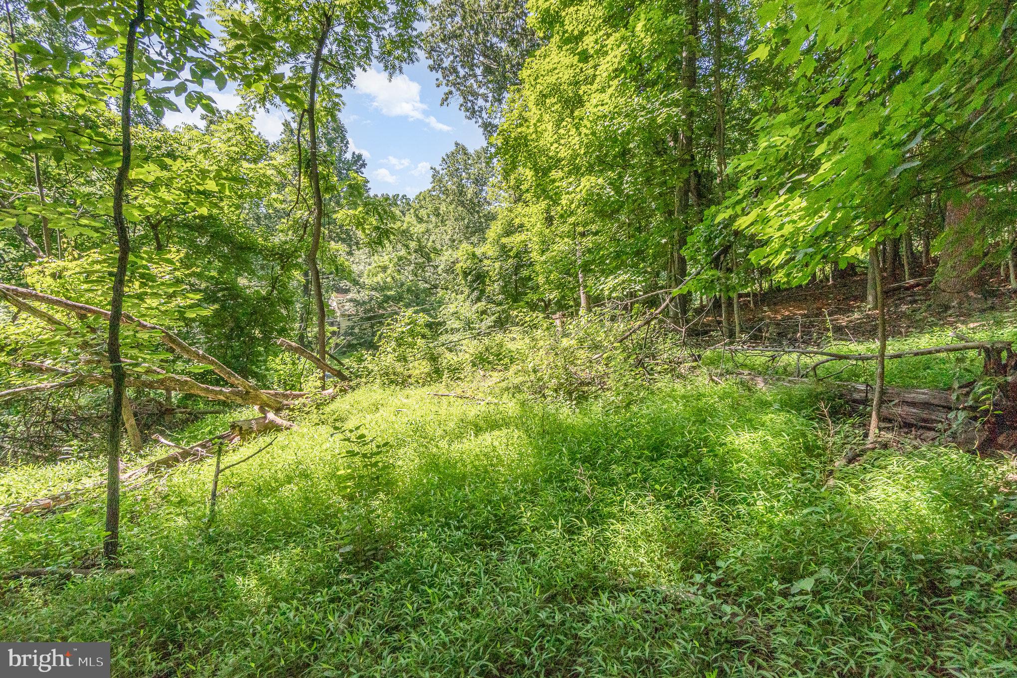 10 Dove Trail Fairfield, PA 17320 - Photo 24 of 33