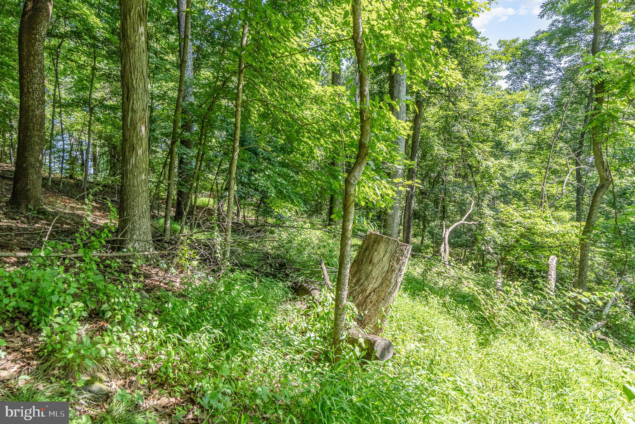 10 Dove Trail Fairfield, PA 17320 - Photo 27 of 33