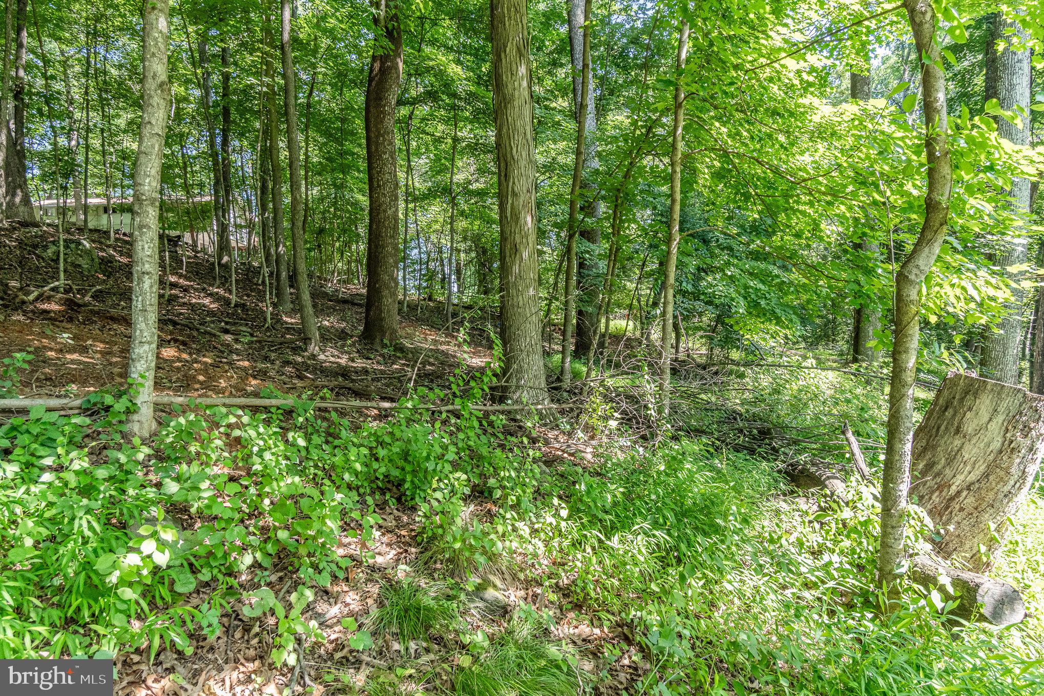 10 Dove Trail Fairfield, PA 17320 - Photo 28 of 33