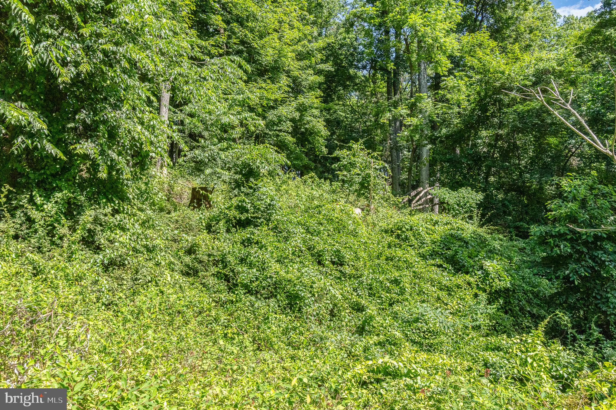 10 Dove Trail Fairfield, PA 17320 - Photo 31 of 33