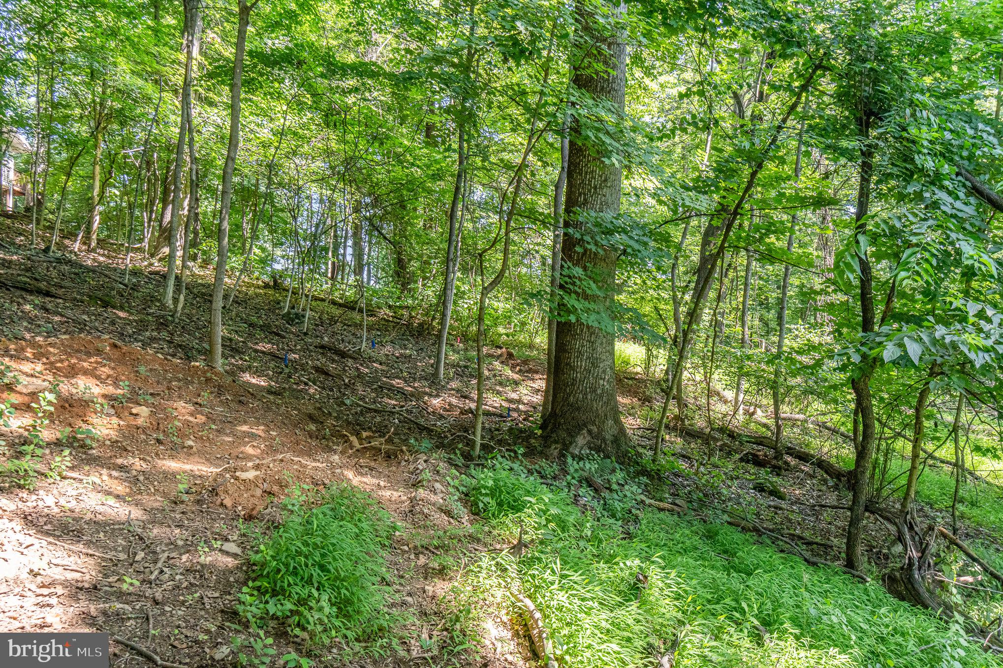 10 Dove Trail Fairfield, PA 17320 - Photo 32 of 33