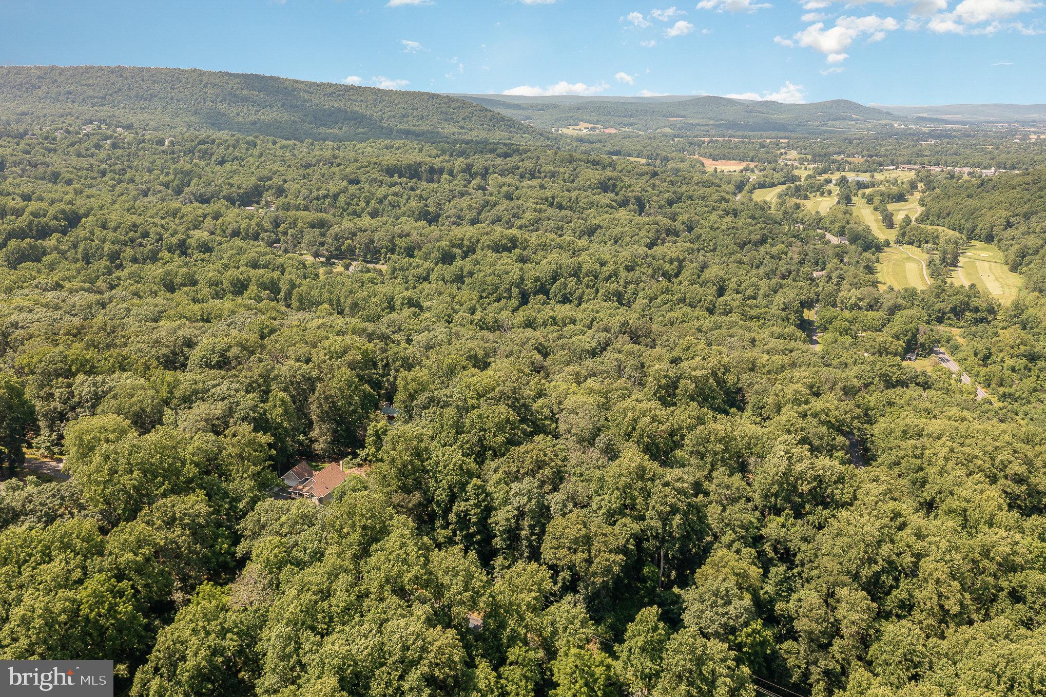 10 Dove Trail Fairfield, PA 17320 - Photo 6 of 33