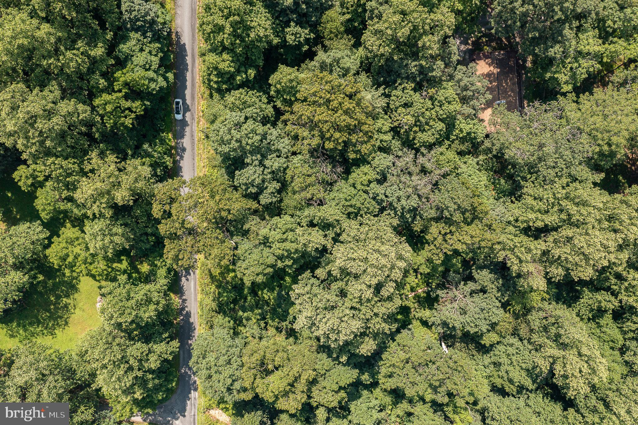 10 Dove Trail Fairfield, PA 17320 - Photo 7 of 33