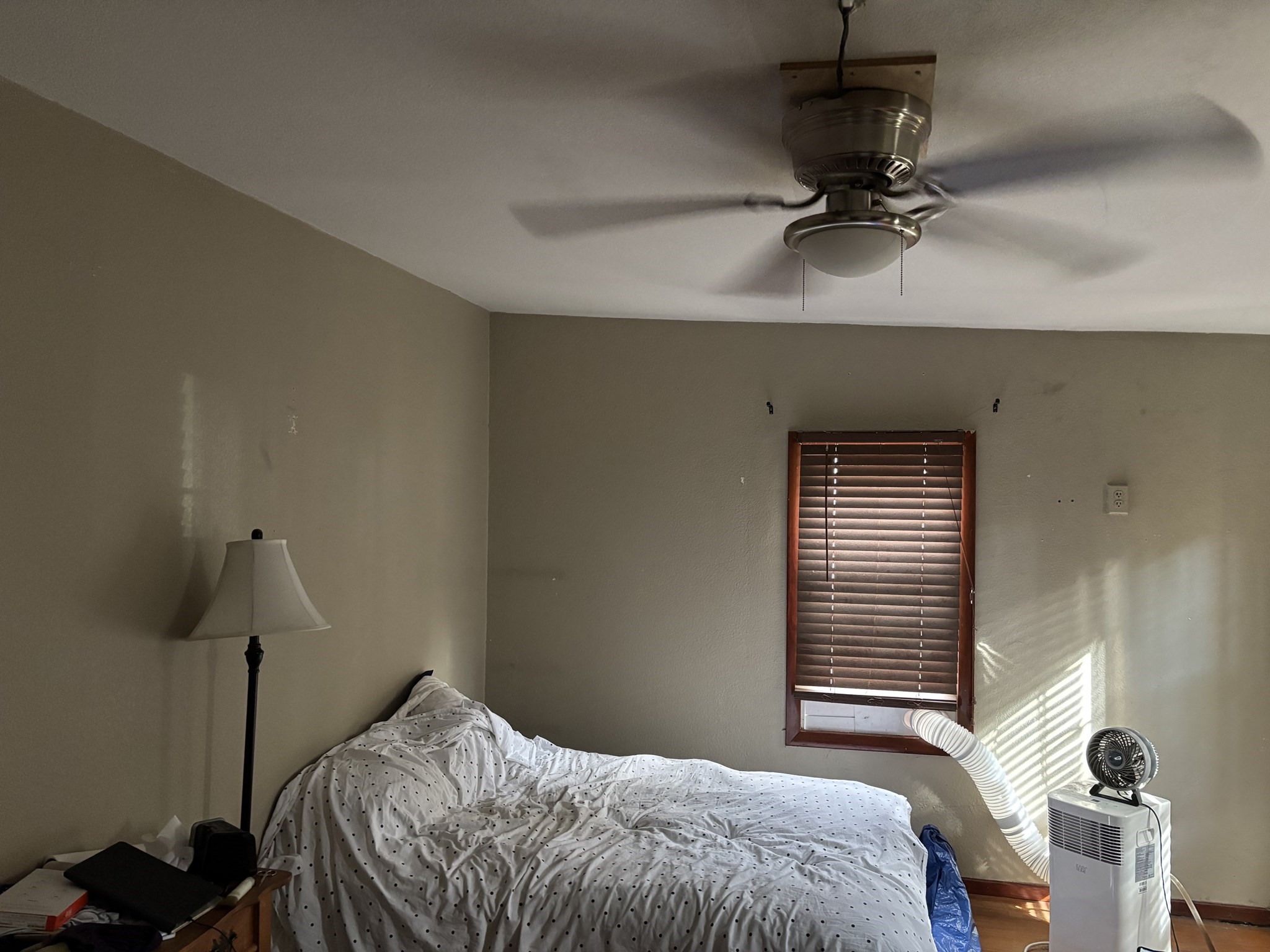 80 Better Way Springfield, MA 01119 - Photo 11 of 11 Gallery Image 11