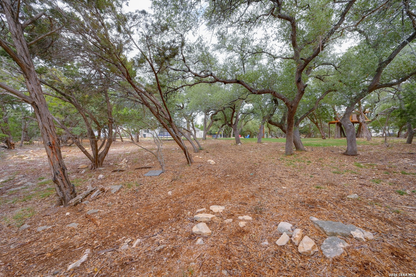 1134 Victoria Spring Branch, TX 78070 - Photo 25 of 28 a view of dirt yard with a tree