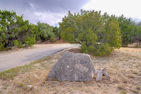 a view of a dry yard with trees and stairs