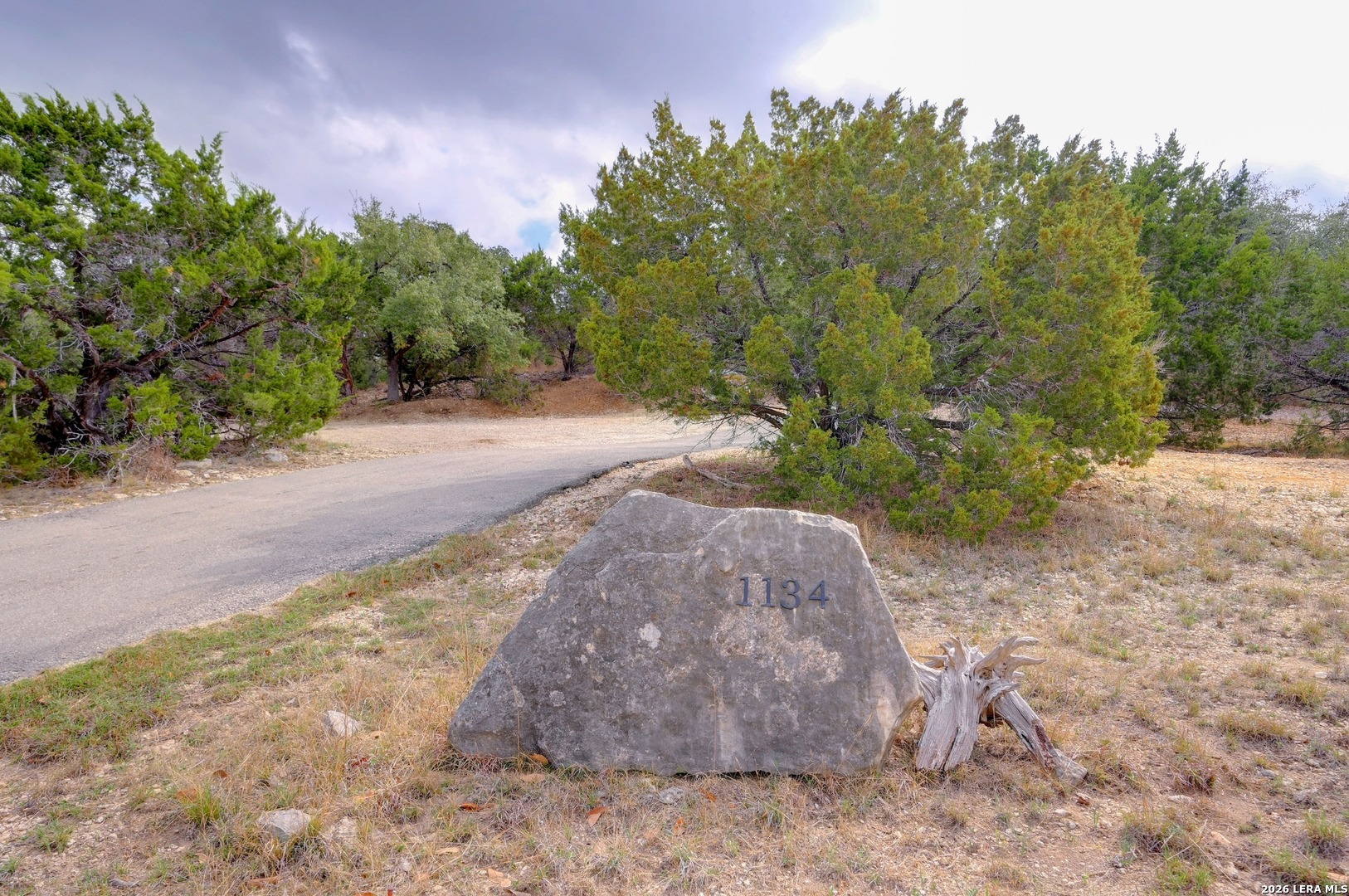 1134 Victoria Spring Branch, TX 78070 - Photo 27 of 28 a view of a dry yard with trees and stairs