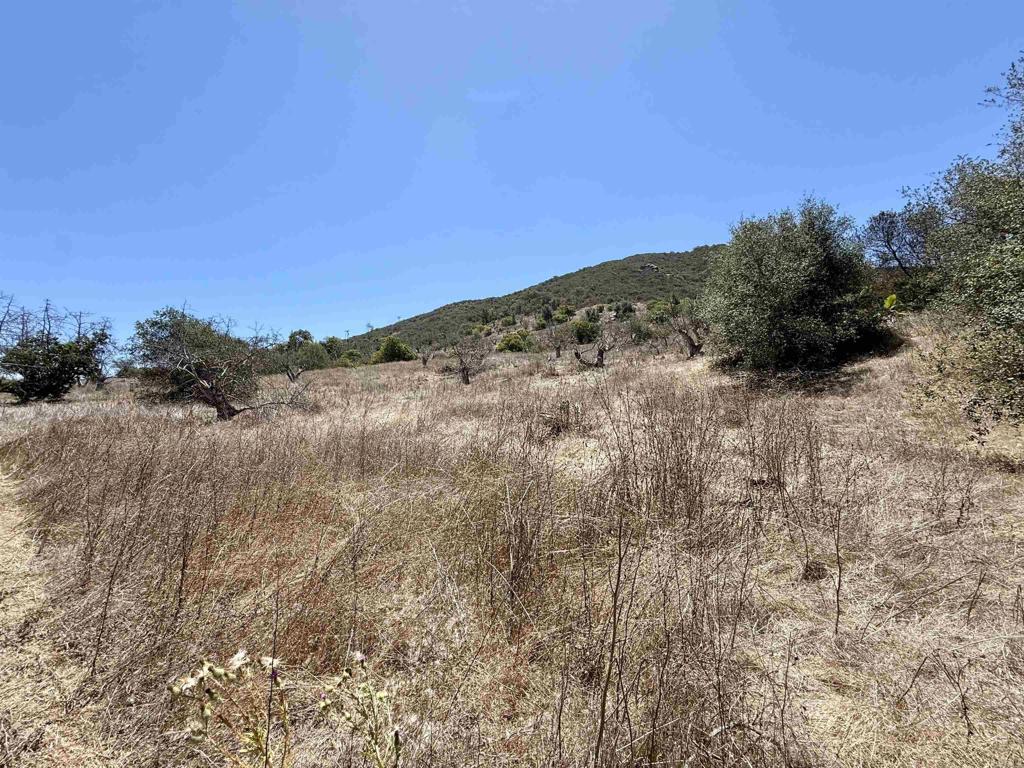 9927 Modrigan Lane Fallbrook, CA 92028 - Photo 27 of 38 Gallery Image 27