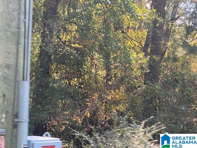 0 Montevallo Road Alabaster, AL 35007 - Photo 6 of 7
