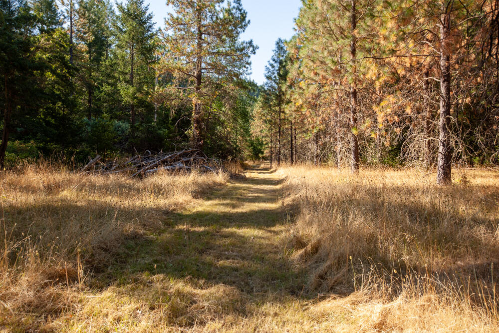 1400 Reeves Creek Road Selma, OR 97538 - Photo 8 of 19 1400 Reeves Creek (8 of 19)