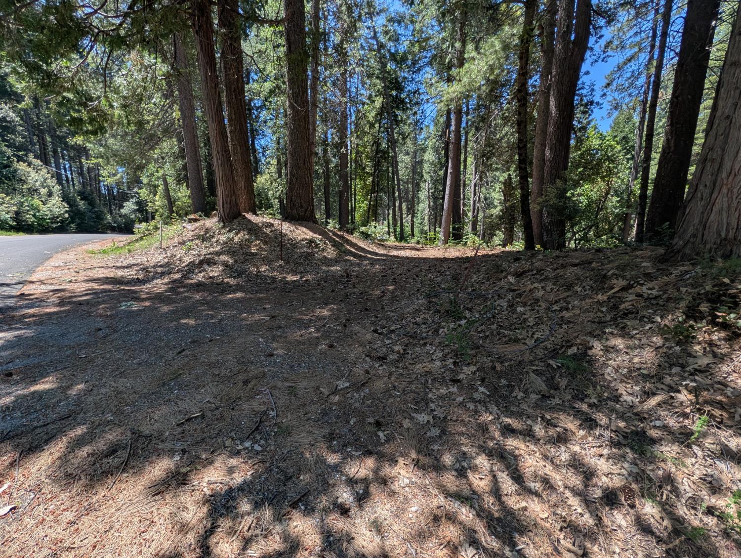 16819 Pasquale Road Nevada City, CA 95959 - Photo 4 of 10 a view of outdoor space and yard