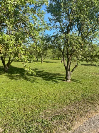 $699,000 | 17576 Highway 120, Ripon, CA 95366