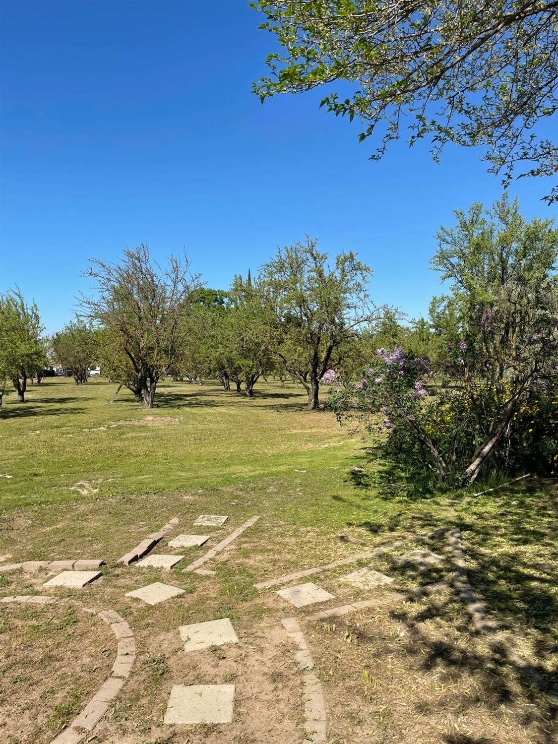 17576 Highway 120 Ripon, CA 95366 - Photo 2 of 26