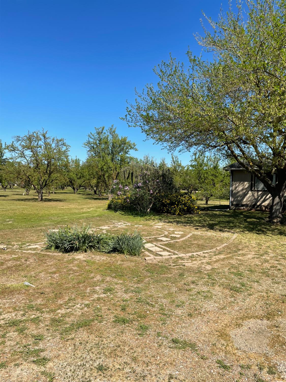 17576 Highway 120 Ripon, CA 95366 - Photo 22 of 26