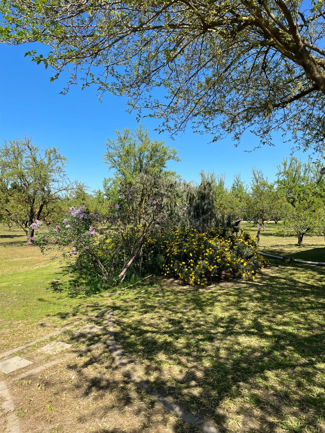 17576 Highway 120 Ripon, CA 95366 - Photo 4 of 26