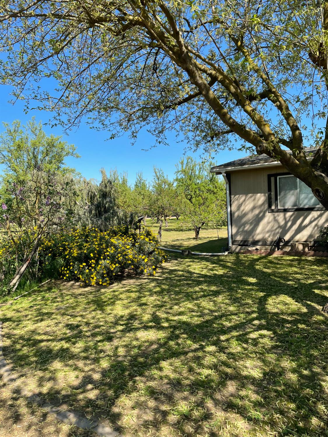 17576 Highway 120 Ripon, CA 95366 - Photo 5 of 26