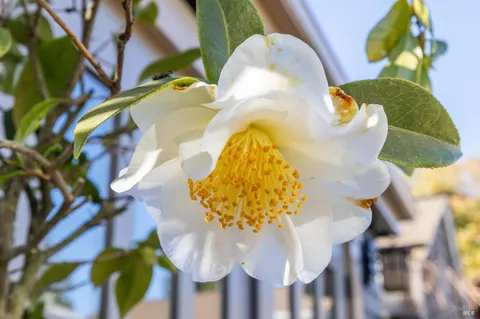 $3,250,000 | 75 Kensington Road, San Anselmo, CA 94960