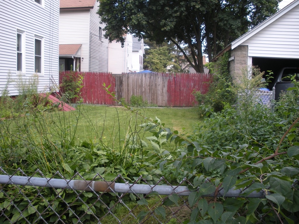 29 Prince Street Springfield, MA 01109 - Photo 4 of 7 Gallery Image 4