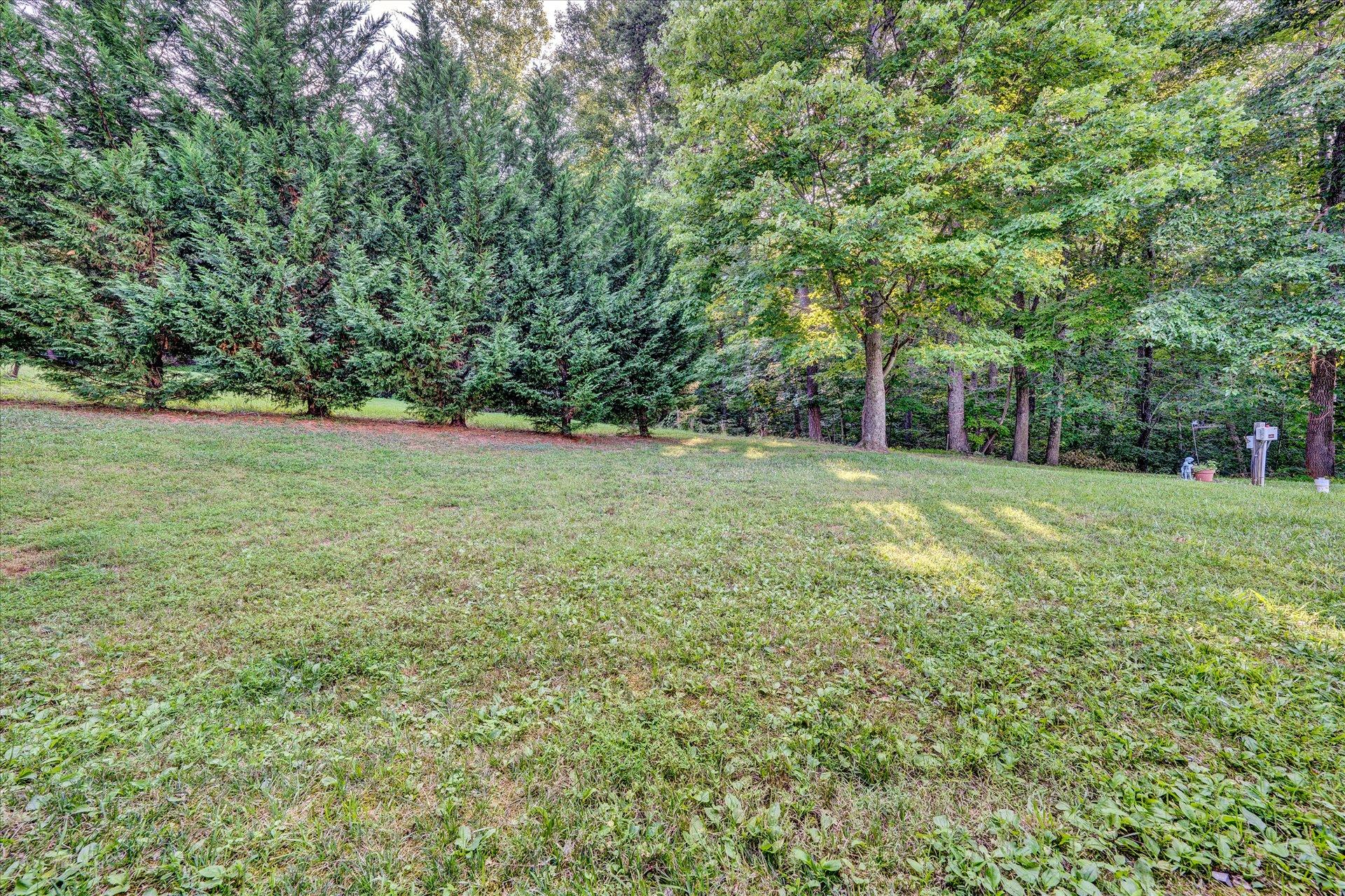 1245 Shady Run Road Vinton, VA 24179 - Photo 38 of 41 38-Shows Great (37 of 42)