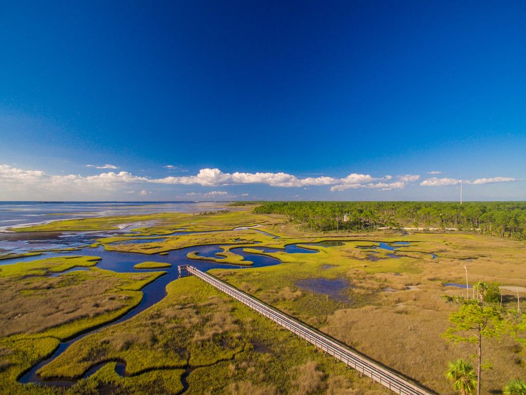 6 Bent Tree Road Port St. Joe, FL 32456 - Photo 23 of 25