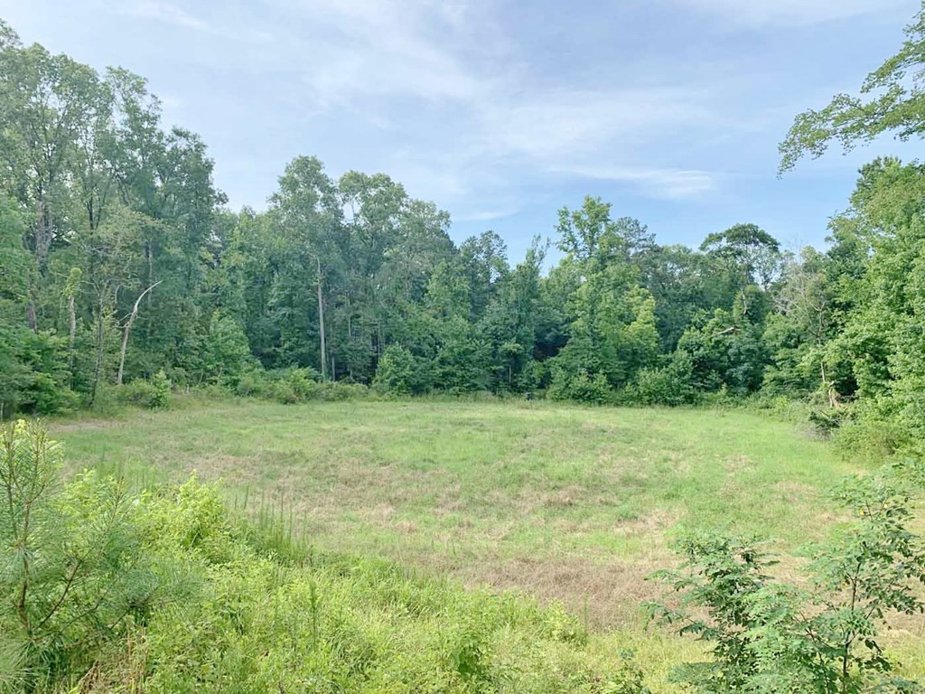 3000 Stonington Road Lorman, MS 39096 - Photo 25 of 38 Photo 25