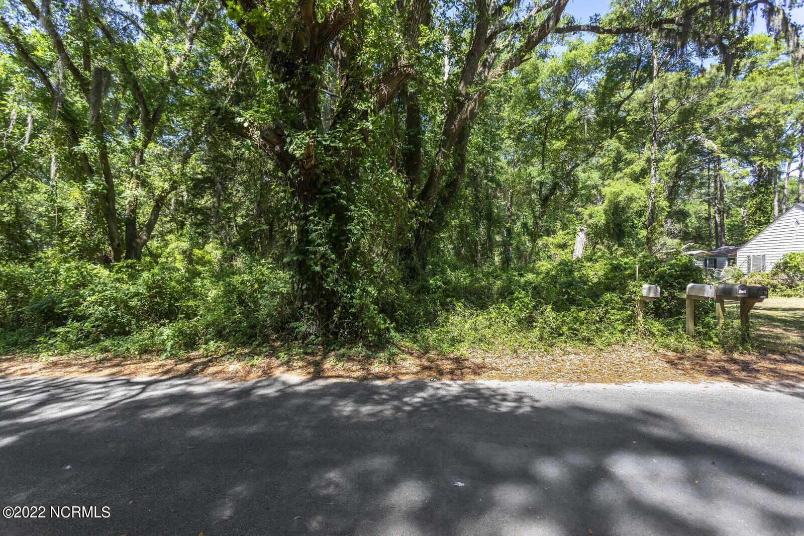 1704 Gause Landing Road Southwest Ocean Isle Beach, NC 28469 - Photo 3 of 17 10_IMG_6914_mls