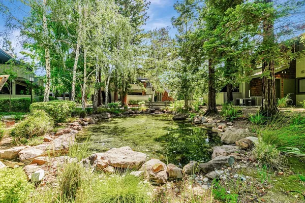 a view of backyard with swimming pool
