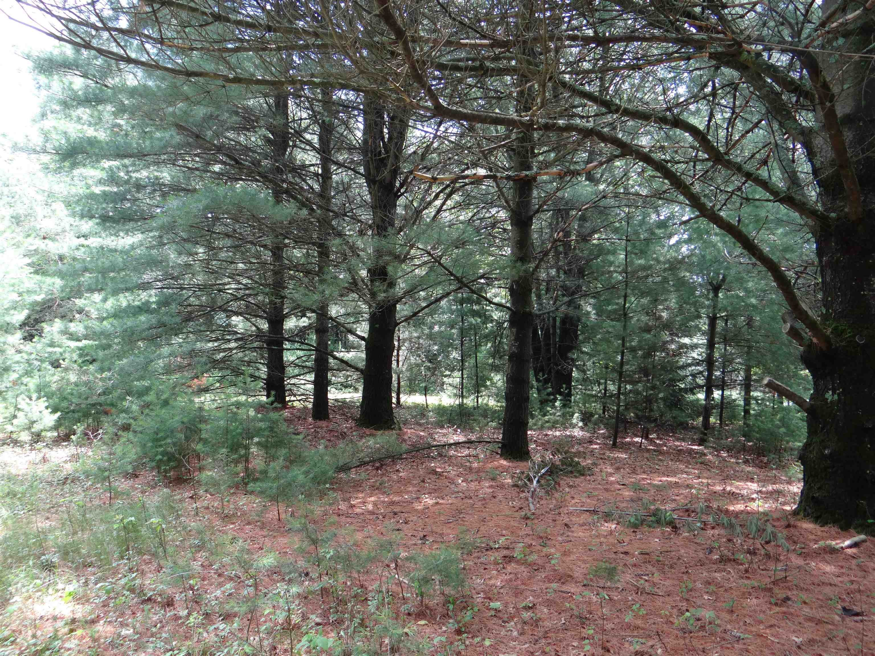 N1771 County Rd EE Redgranite, WI 54970 - Photo 25 of 33