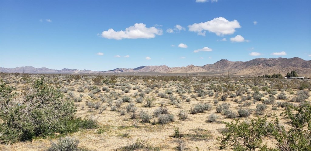 0 Corwin Road Lucerne Valley, CA 92356 - Photo 8 of 8 Gallery Image 8